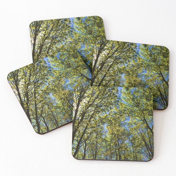 Item preview, A maple grove in summer designed and sold by Claude Laprise.