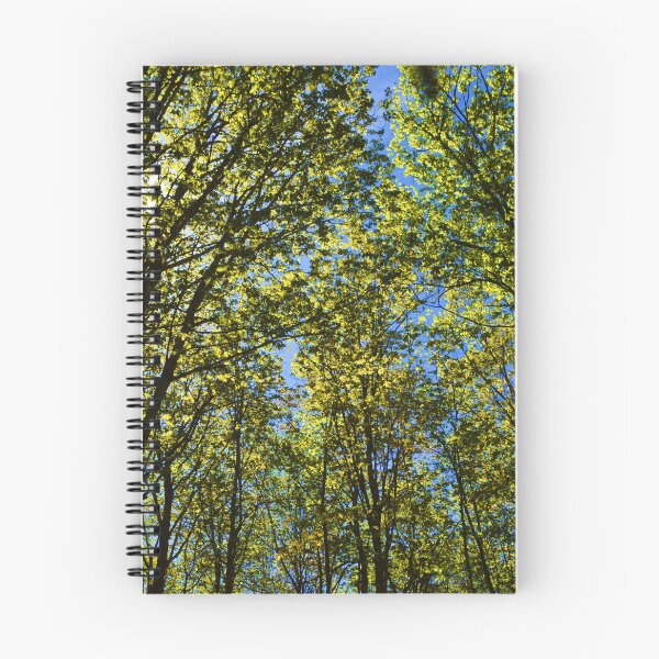 Item preview, A maple grove in summer designed and sold by Claude Laprise.