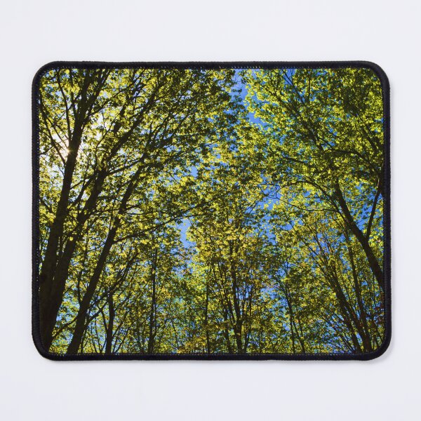 Item preview, A maple grove in summer designed and sold by Claude Laprise.