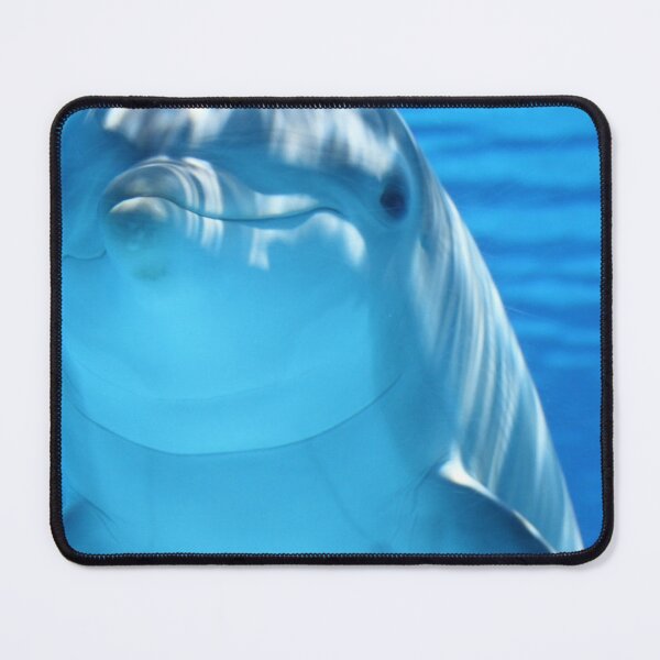 Item preview, Aquarium Dolphin designed and sold by joelle1724.