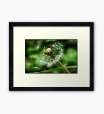 Dandelion Macro Framed Print