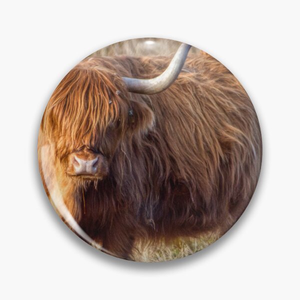 Item preview, Scottish Highland Cow  designed and sold by Derren Jones.