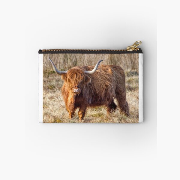 Item preview, Scottish Highland Cow  designed and sold by Derren Jones.