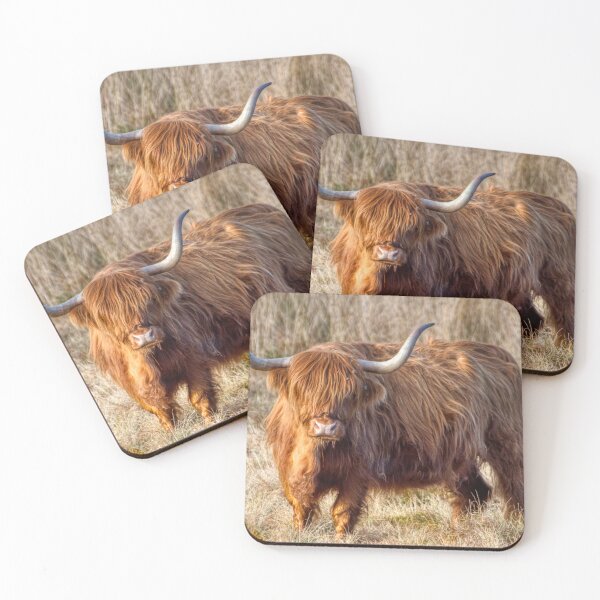 Item preview, Scottish Highland Cow  designed and sold by Derren Jones.