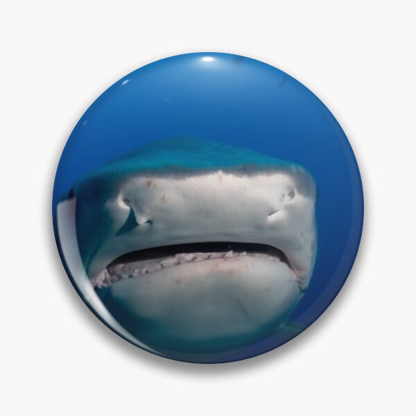 Item preview, Tiger shark up close and personal designed and sold by Mark Stiebel.