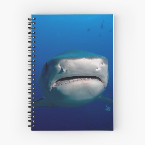 Item preview, Tiger shark up close and personal designed and sold by Mark Stiebel.
