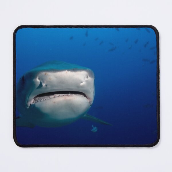 Item preview, Tiger shark up close and personal designed and sold by Mark Stiebel.