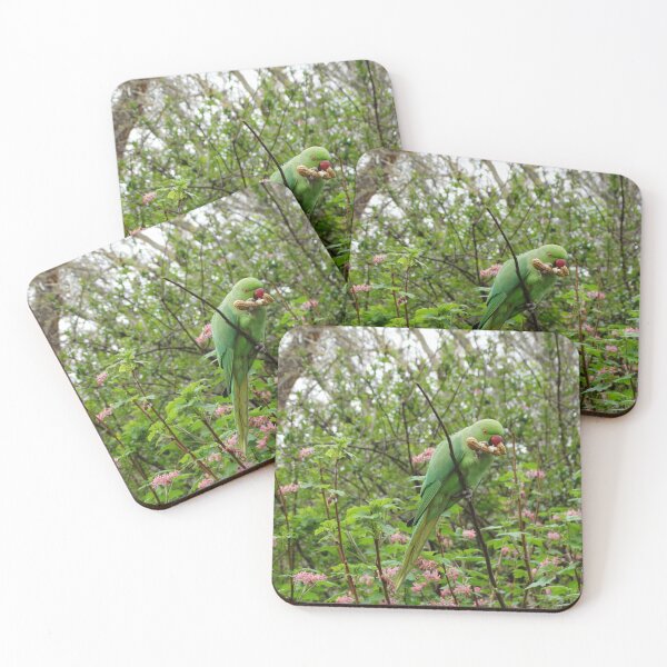 Item preview, Green Rose-ringed Parakeet eating a peanut designed and sold by TwistedClassics.