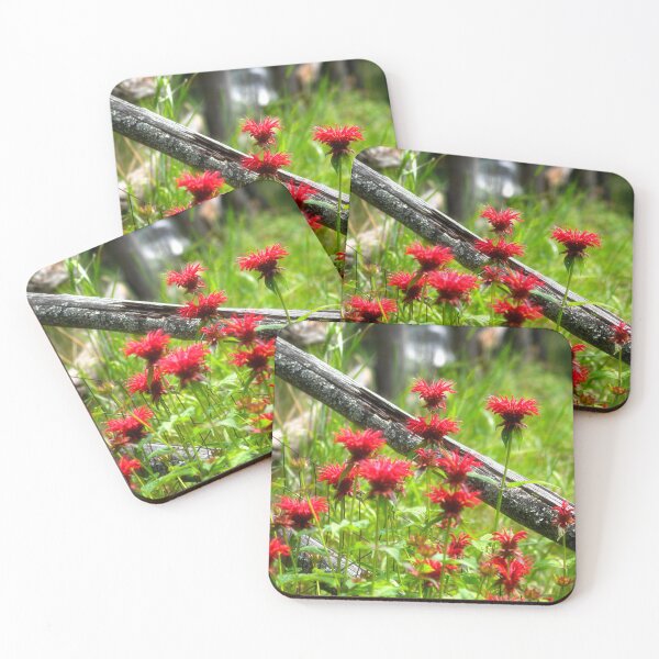 Item preview, Bee Balm in the Garden designed and sold by Kathy Weaver.