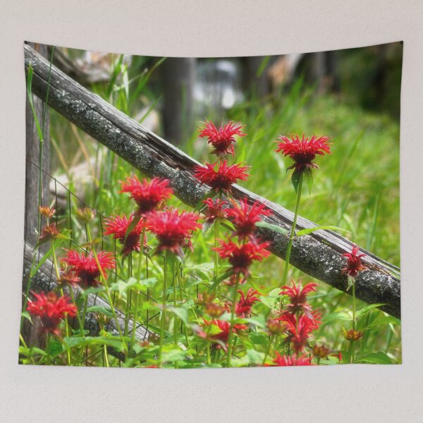 Item preview, Bee Balm in the Garden designed and sold by Kathy Weaver.