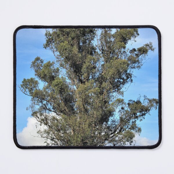 Item preview, Oak Tree on the Rise designed and sold by Martha Sherman.