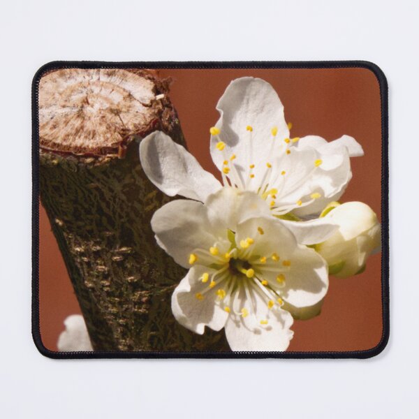 Item preview, Plum Blossom designed and sold by jalfc46.
