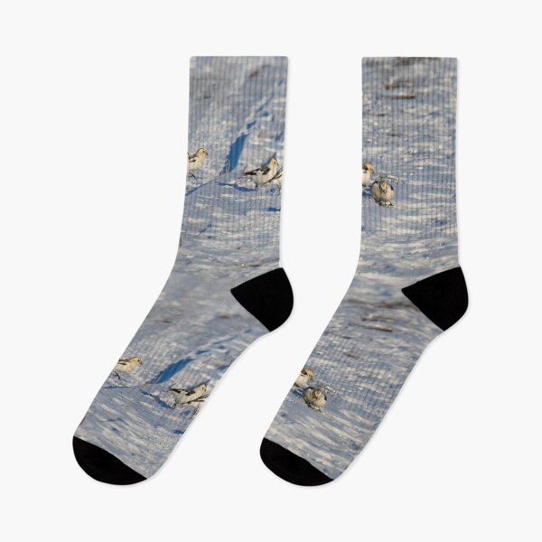 Item preview, Snow bunting line up designed and sold by Jouko Lehto Photography.