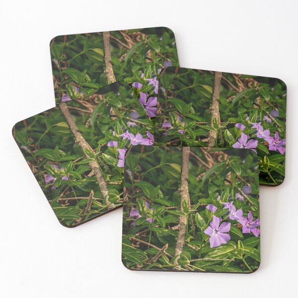 Item preview, Early Periwinkles designed and sold by Steve Walser.