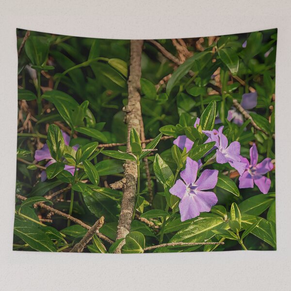 Item preview, Early Periwinkles designed and sold by Steve Walser.
