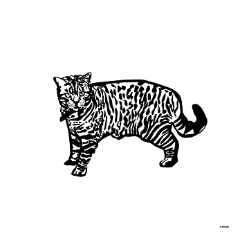 Artwork thumbnail, Cat by F-ROWS