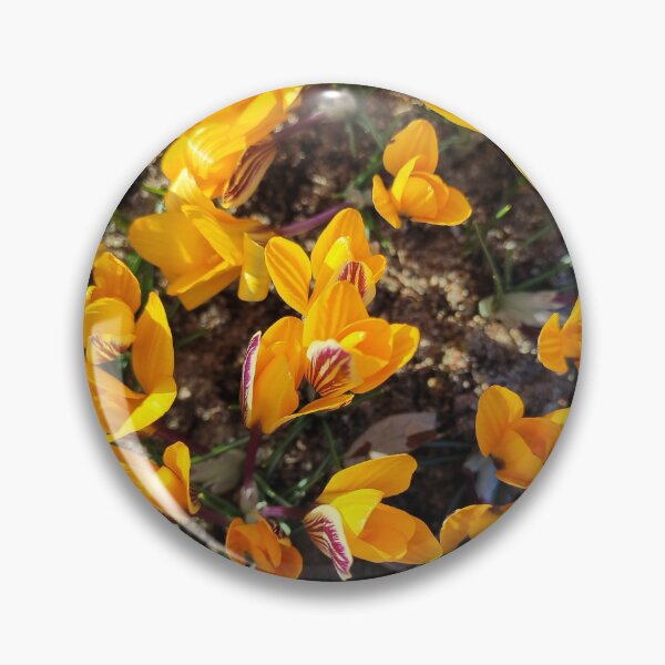 Item preview, Spring is finally here designed and sold by Raigitam.