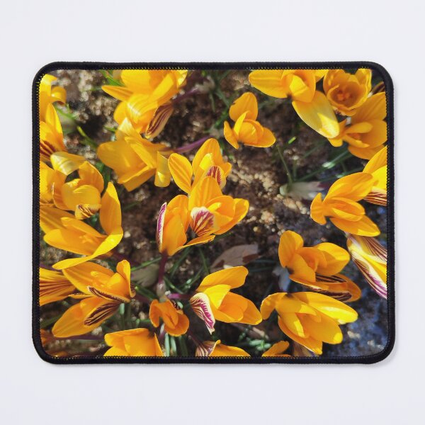 Item preview, Spring is finally here designed and sold by Raigitam.