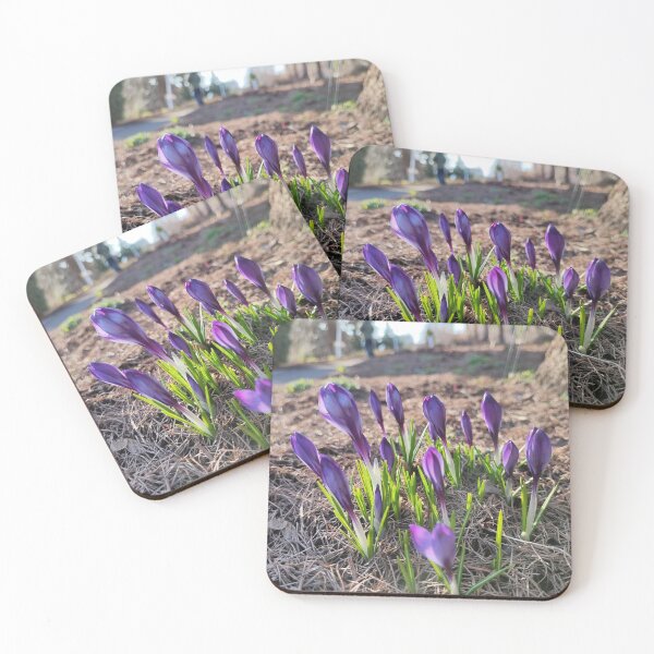 Item preview, Just spring sun and crocus designed and sold by Raigitam.