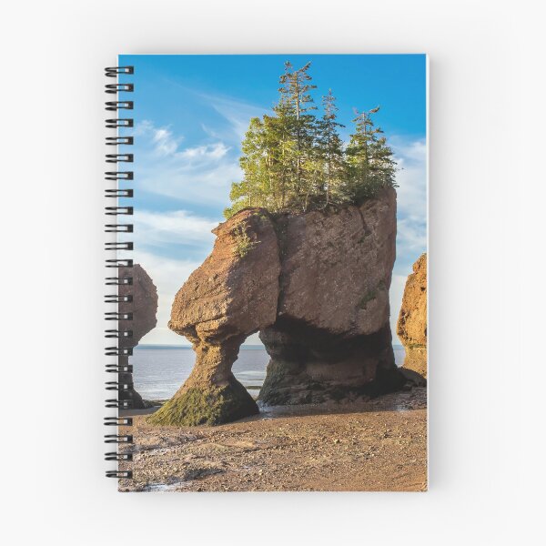 Item preview, Hopewell Rocks designed and sold by Alla Gill.