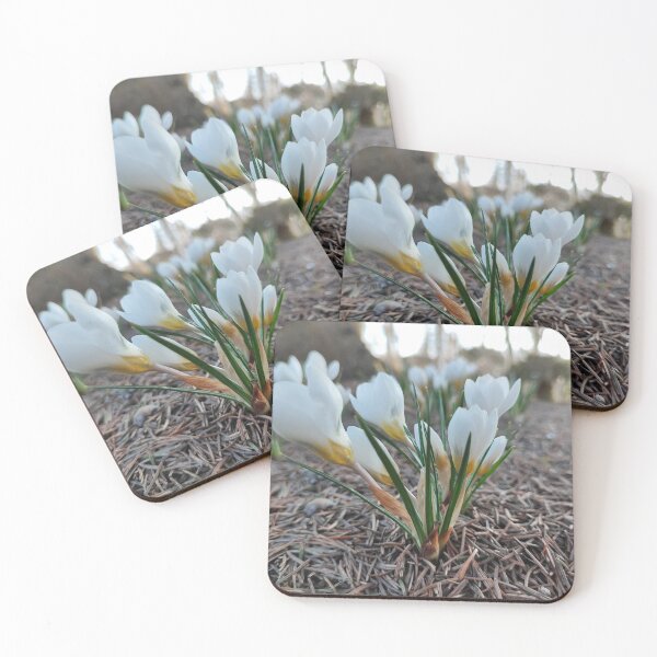 Item preview, White crocus and the spring designed and sold by Raigitam.