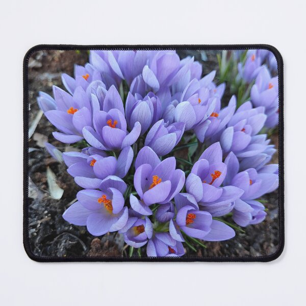 Item preview, You just must love the spring designed and sold by Raigitam.