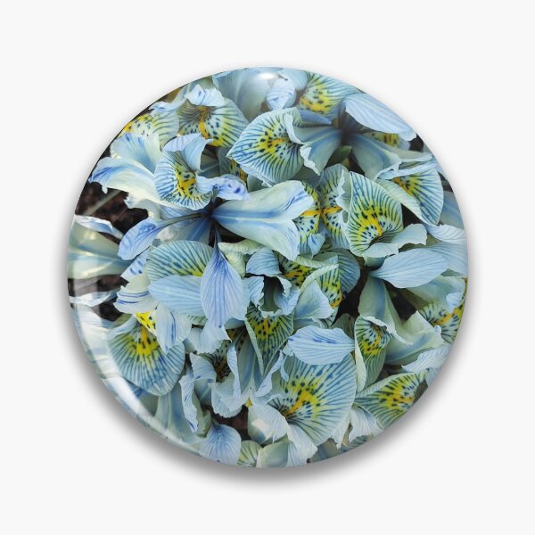 Item preview, Irises in spring designed and sold by Raigitam.