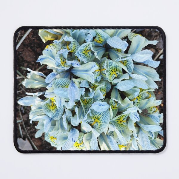Item preview, Irises in spring designed and sold by Raigitam.