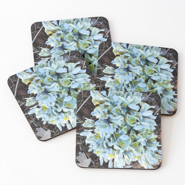 Item preview, Irises in spring designed and sold by Raigitam.