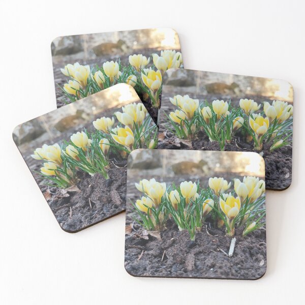 Item preview, Yellow crocuses like sunbeams designed and sold by Raigitam.
