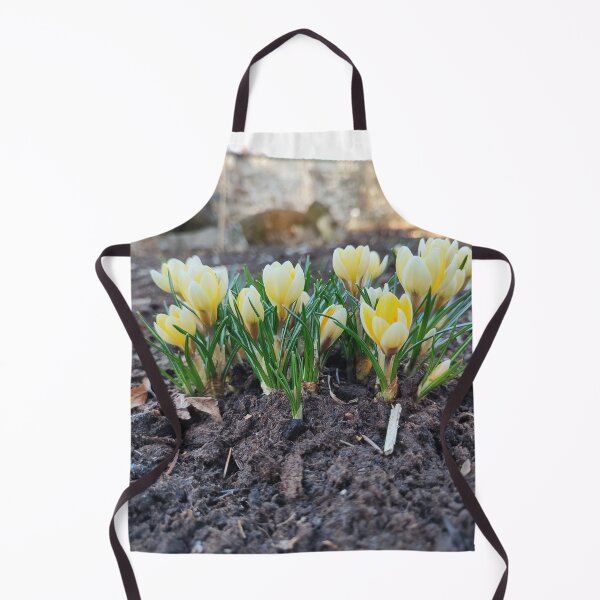 Item preview, Yellow crocuses like sunbeams designed and sold by Raigitam.