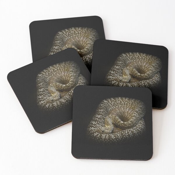 Item preview, Rattlesnake designed and sold by Guardi71.