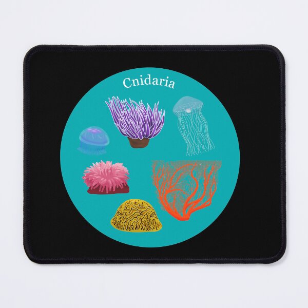 Item preview, Cnidaria designed and sold by Biology Simulations.