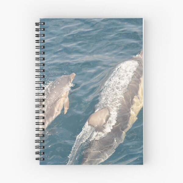 Item preview, Baby Dolphin with Mother designed and sold by Ashley-Darling.
