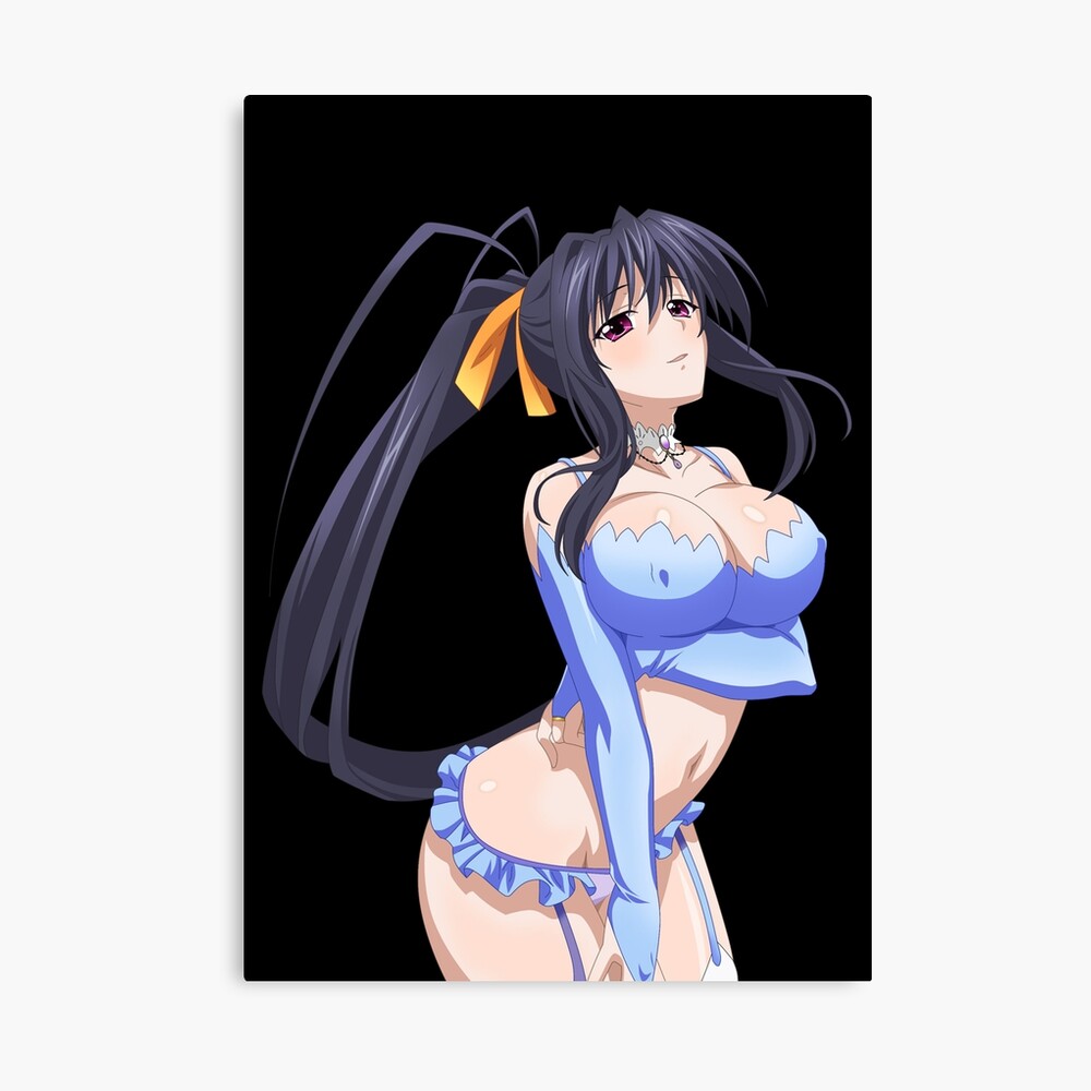 Akeno Himejima High School DxD