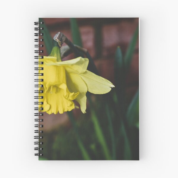 Item preview, Narcisos en plena floración designed and sold by Joanne Kendrick.