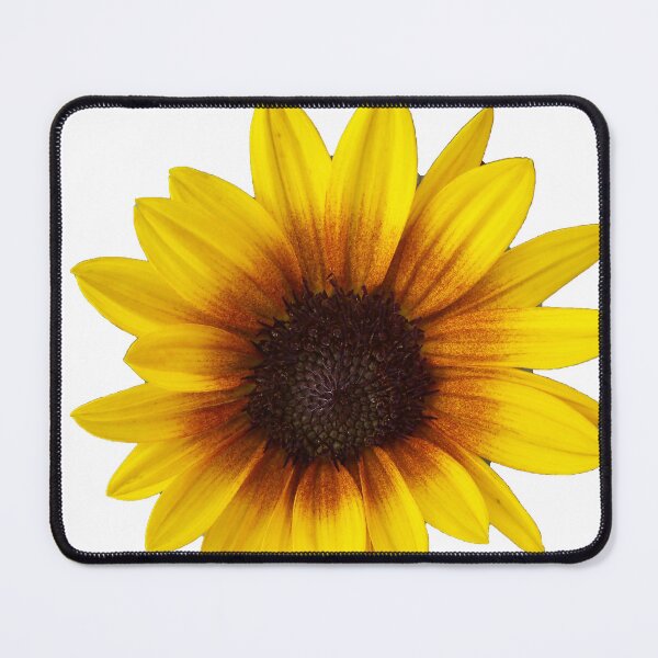 Item preview, Heilanthus Annuss or Brown Eyed Girl sunflower designed and sold by SunnyDazDesign.