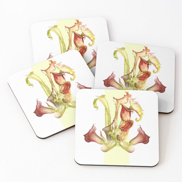 Item preview, Colorful Retro/ Vintage Carnivorous Pitcher Plant Botanical Illustration  designed and sold by crickmonster.