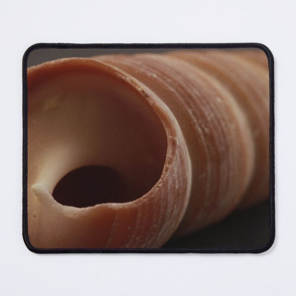 Item preview, Tower Screw Shell Opening designed and sold by Robert Armendariz.