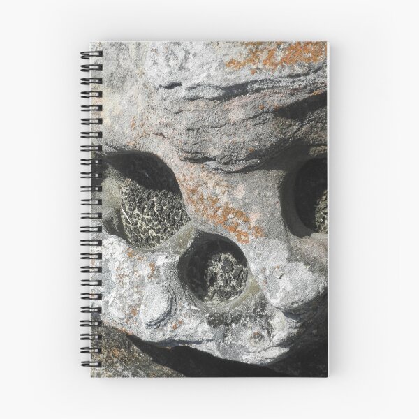 Item preview, Sandstone Skull, Harbord, Sydney, NSW. designed and sold by kaysharp.
