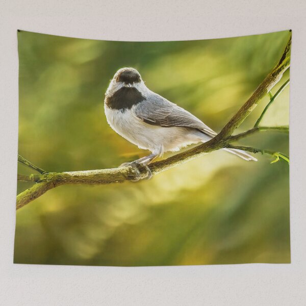 Item preview, You Talking To Me? designed and sold by Kay Brewer.