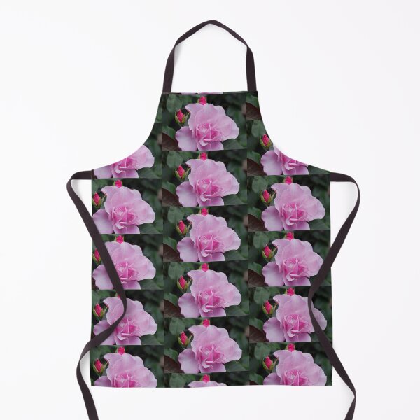 Item preview, Bewitched Hybrid Tea Rose designed and sold by Robert Armendariz.