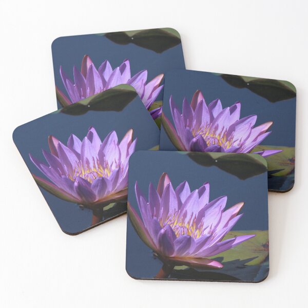 Item preview, Tina Water Lily designed and sold by Robert Armendariz.