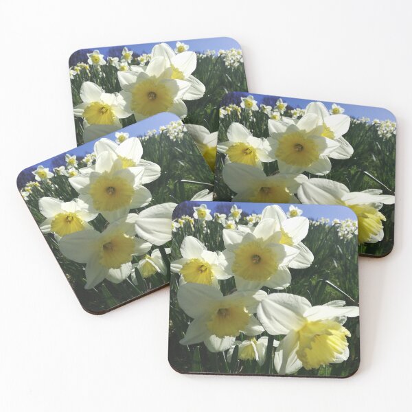 Item preview, Daffodils photograph  designed and sold by esvb.