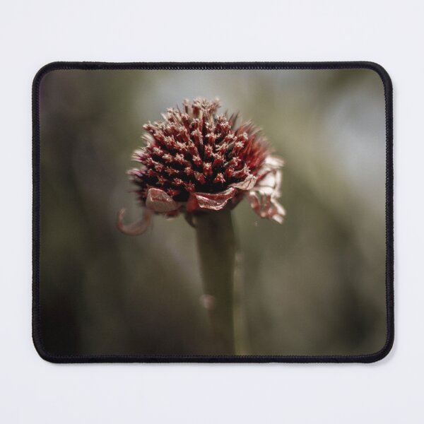 Item preview, A withered flower bud designed and sold by Mbaria-Arts.