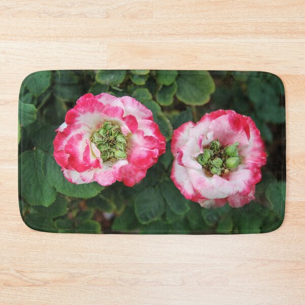 Item preview, Roses Growing Seeds designed and sold by heatherfriedman.