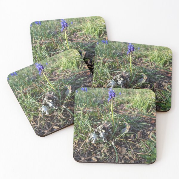 Item preview, Bluebells designed and sold by TheRealDanniX.