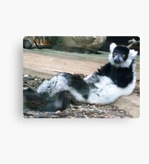 Relaxing Lemur Leinwanddruck