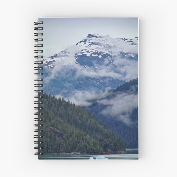 Item preview, Endicott Arm, Alaska, June 2023 #23 designed and sold by Rachel Jeffrey.