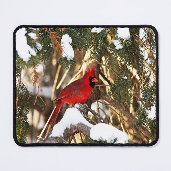 Item preview, Northern Cardinal In Winter designed and sold by Deb Oppermann.